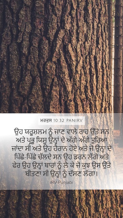 ਮਰਕੁਸ 10:32 PANIRV Bible Verse Image