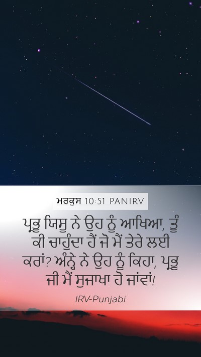 ਮਰਕੁਸ 10:51 PANIRV Bible Verse Image