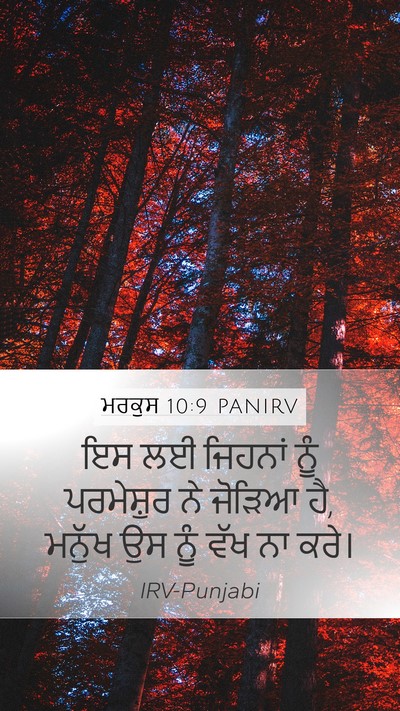 ਮਰਕੁਸ 10:9 PANIRV Bible Verse Image