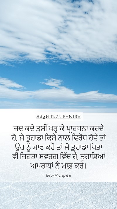 ਮਰਕੁਸ 11:25 PANIRV Bible Verse Image