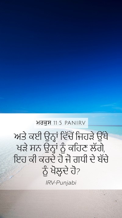 ਮਰਕੁਸ 11:5 PANIRV Mobile Phone Wallpaper - ਅਤੇ ਕਈ ਉਨ੍ਹਾਂ - Mobile Bible Verse Wallpaper