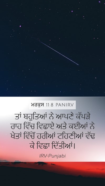ਮਰਕੁਸ 11:8 PANIRV Bible Verse Image