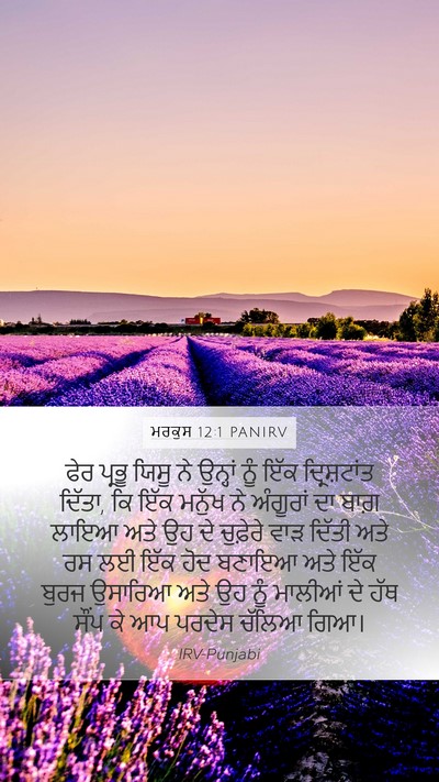 ਮਰਕੁਸ 12:1 PANIRV Bible Verse Image