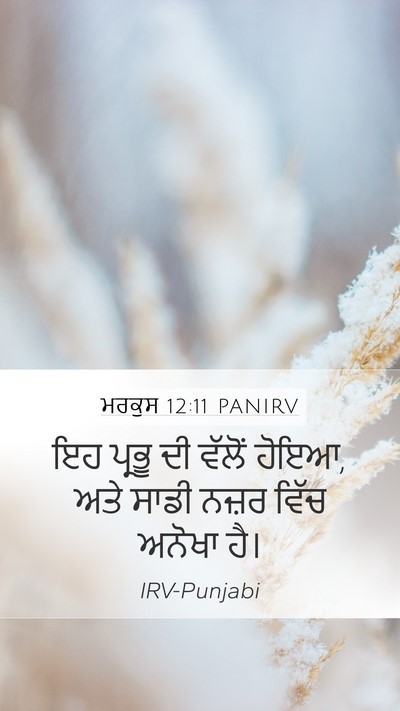 ਮਰਕੁਸ 12:11 PANIRV Mobile Phone Wallpaper - ਇਹ ਪ੍ਰਭੂ ਦੀ ਵੱਲੋਂ - Mobile Bible Verse Wallpaper