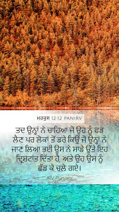 ਮਰਕੁਸ 12:12 PANIRV Bible Verse Image