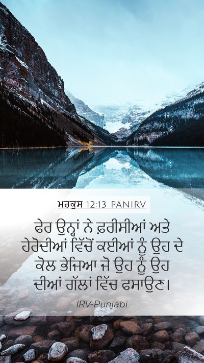 ਮਰਕੁਸ 12:13 PANIRV Bible Verse Image