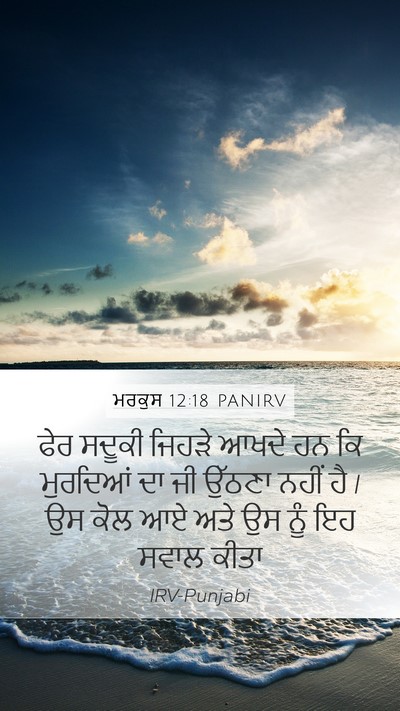 ਮਰਕੁਸ 12:18 PANIRV Bible Verse Image