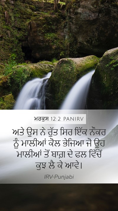 ਮਰਕੁਸ 12:2 PANIRV Bible Verse Image