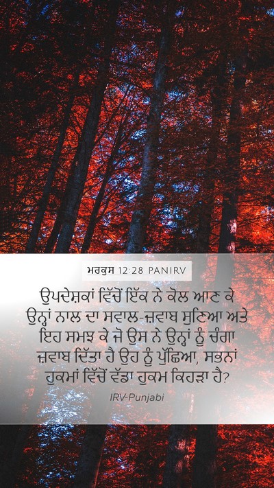 ਮਰਕੁਸ 12:28 PANIRV Bible Verse Image