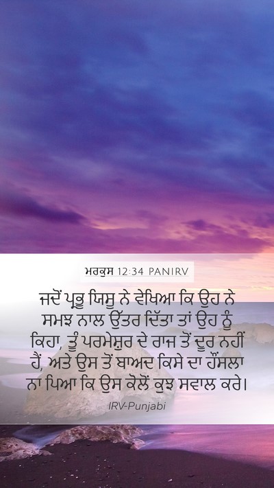 ਮਰਕੁਸ 12:34 PANIRV Bible Verse Image