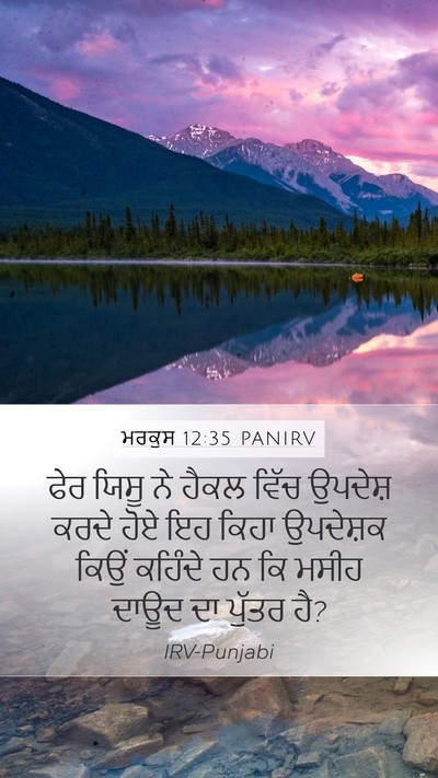 ਮਰਕੁਸ 12:35 PANIRV Bible Verse Image