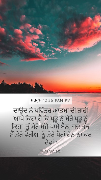 ਮਰਕੁਸ 12:36 PANIRV Bible Verse Image