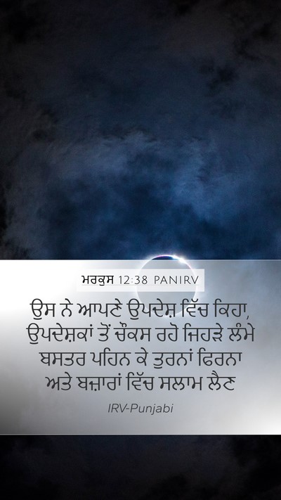 ਮਰਕੁਸ 12:38 PANIRV Bible Verse Image