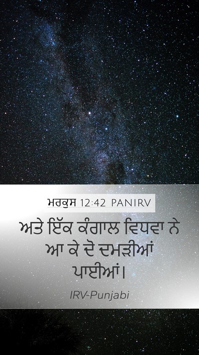 ਮਰਕੁਸ 12:42 PANIRV Bible Verse Image