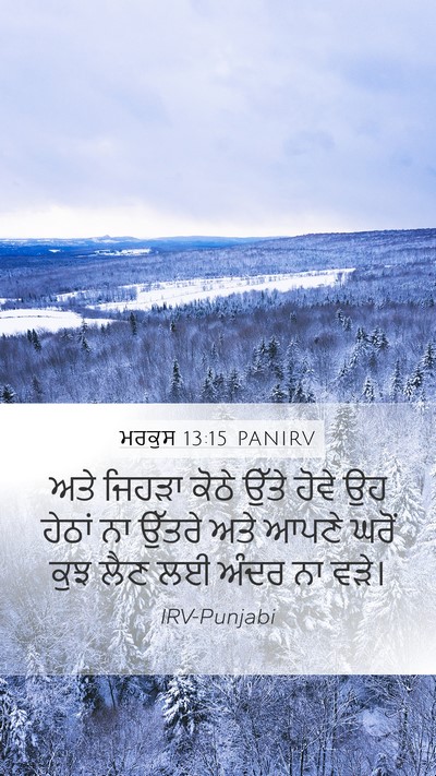 ਮਰਕੁਸ 13:15 PANIRV Bible Verse Image
