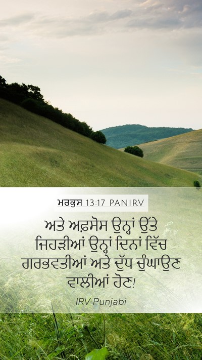 ਮਰਕੁਸ 13:17 PANIRV Bible Verse Image