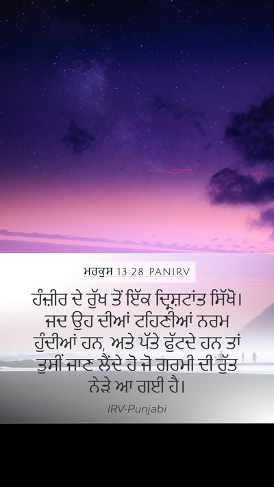 ਮਰਕੁਸ 13:28 PANIRV Bible Verse Image