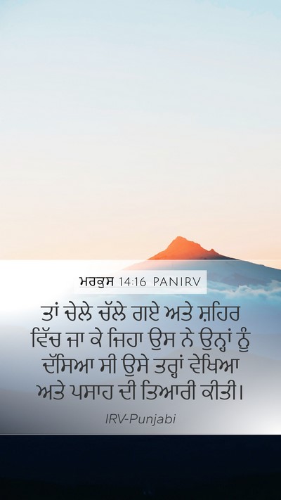 ਮਰਕੁਸ 14:16 PANIRV Bible Verse Image