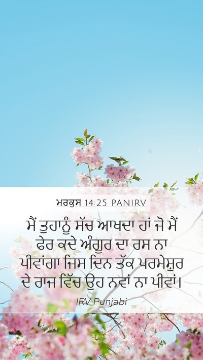 ਮਰਕੁਸ 14:25 PANIRV Bible Verse Image