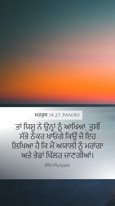 ਮਰਕੁਸ 14:27 PANIRV Bible Verse Image