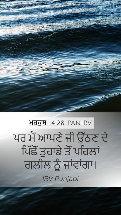 ਮਰਕੁਸ 14:28 PANIRV Bible Verse Image
