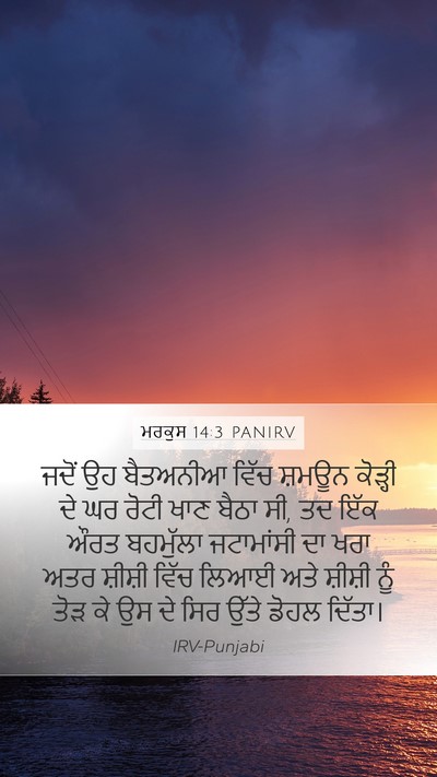 ਮਰਕੁਸ 14:3 PANIRV Bible Verse Image