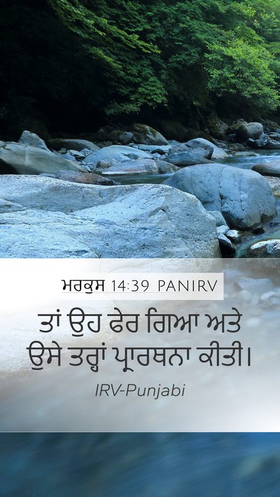 ਮਰਕੁਸ 14:39 PANIRV Bible Verse Image