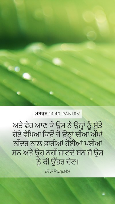ਮਰਕੁਸ 14:40 PANIRV Mobile Phone Wallpaper - ਅਤੇ ਫੇਰ ਆਣ ਕੇ ਉਸ ਨੇ - Mobile Bible Verse Wallpaper