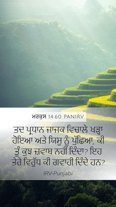 ਮਰਕੁਸ 14:60 PANIRV Bible Verse Image
