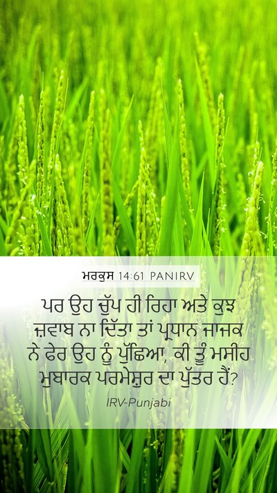 ਮਰਕੁਸ 14:61 PANIRV Bible Verse Image