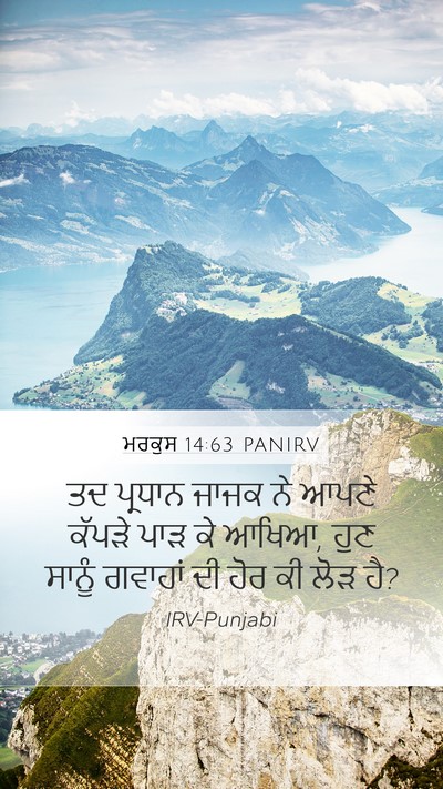 ਮਰਕੁਸ 14:63 PANIRV Bible Verse Image