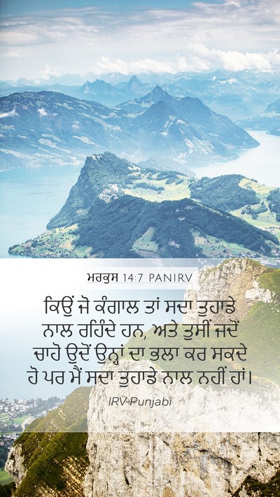 ਮਰਕੁਸ 14:7 PANIRV Bible Verse Image