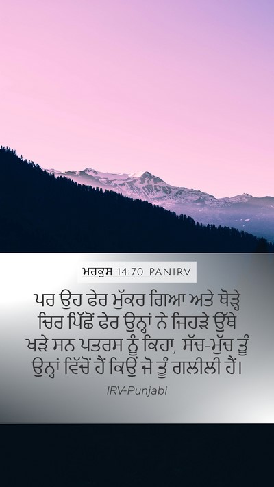 ਮਰਕੁਸ 14:70 PANIRV Bible Verse Image
