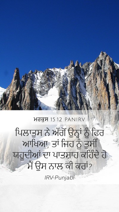 ਮਰਕੁਸ 15:12 PANIRV Bible Verse Image