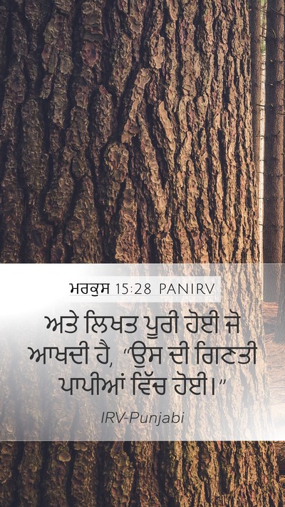 ਮਰਕੁਸ 15:28 PANIRV Mobile Phone Wallpaper - ਅਤੇ ਲਿਖਤ ਪੂਰੀ ਹੋਈ - Mobile Bible Verse Wallpaper