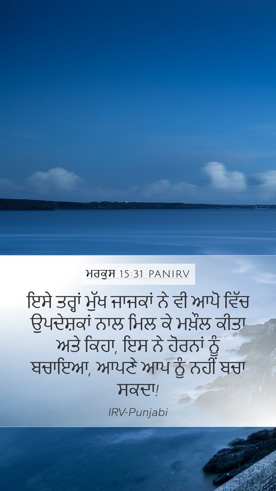 ਮਰਕੁਸ 15:31 PANIRV Bible Verse Image