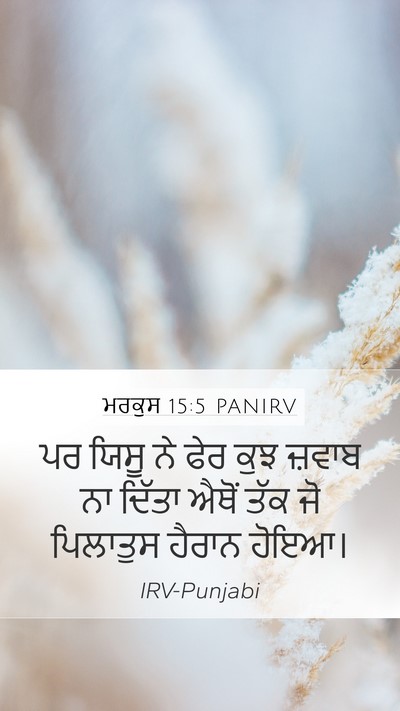 ਮਰਕੁਸ 15:5 PANIRV Mobile Phone Wallpaper - ਪਰ ਯਿਸੂ ਨੇ ਫੇਰ ਕੁਝ - Mobile Bible Verse Wallpaper