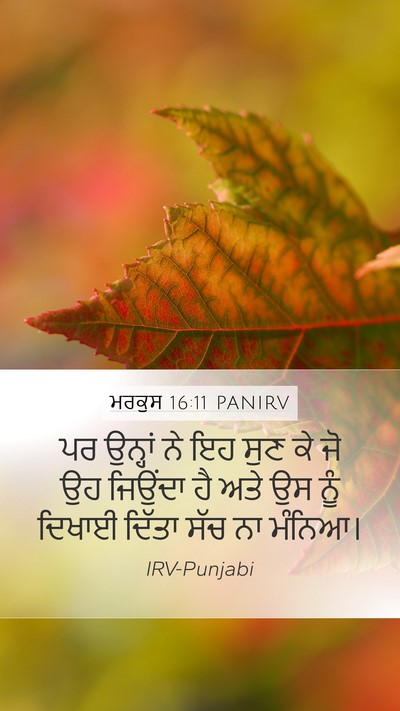 ਮਰਕੁਸ 16:11 PANIRV Bible Verse Image