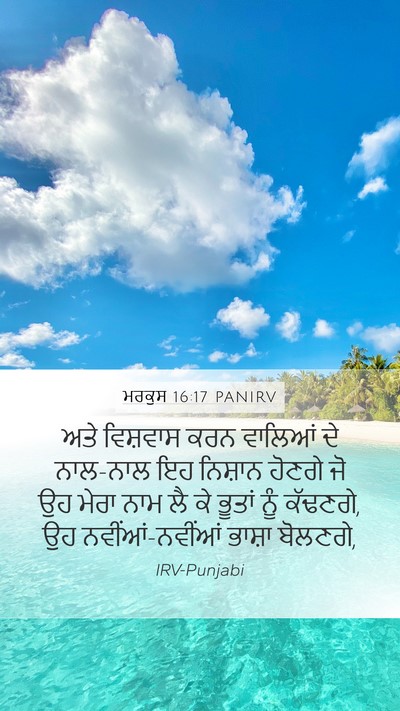 ਮਰਕੁਸ 16:17 PANIRV Bible Verse Image