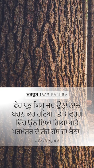 ਮਰਕੁਸ 16:19 PANIRV Bible Verse Image