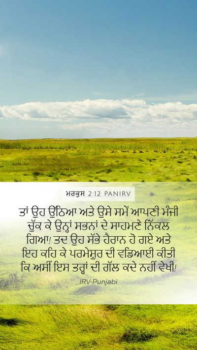 ਮਰਕੁਸ 2:12 PANIRV Bible Verse Image