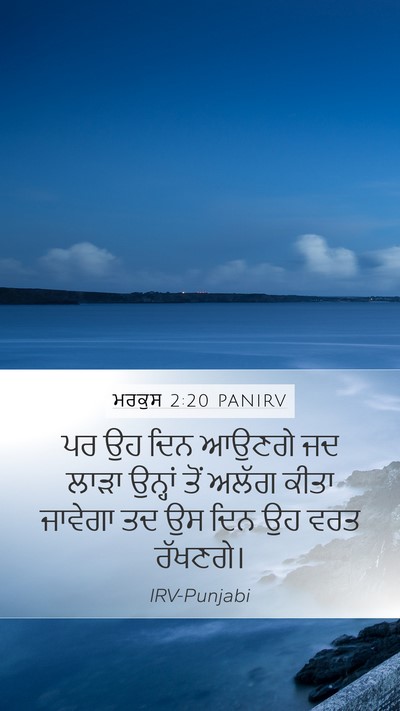 ਮਰਕੁਸ 2:20 PANIRV Bible Verse Image