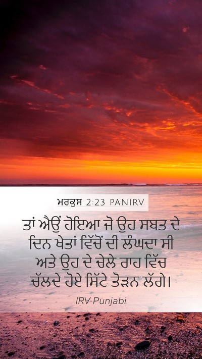 ਮਰਕੁਸ 2:23 PANIRV Bible Verse Image