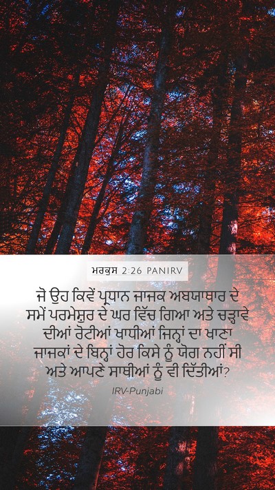 ਮਰਕੁਸ 2:26 PANIRV Mobile Phone Wallpaper - ਜੋ ਉਹ ਕਿਵੇਂ ਪ੍ਰਧਾਨ - Mobile Bible Verse Wallpaper