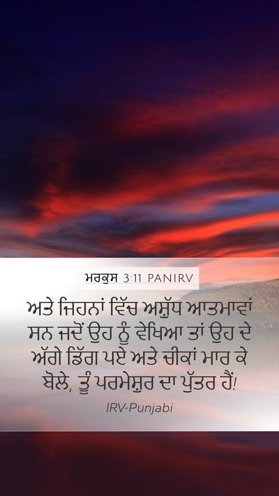 ਮਰਕੁਸ 3:11 PANIRV Bible Verse Image