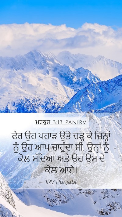 ਮਰਕੁਸ 3:13 PANIRV Bible Verse Image
