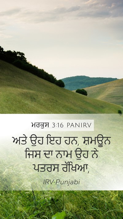 ਮਰਕੁਸ 3:16 PANIRV Bible Verse Image