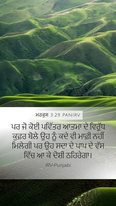 ਮਰਕੁਸ 3:29 PANIRV Bible Verse Image