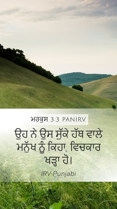 ਮਰਕੁਸ 3:3 PANIRV Mobile Phone Wallpaper - ਉਹ ਨੇ ਉਸ ਸੁੱਕੇ ਹੱਥ - Mobile Bible Verse Wallpaper
