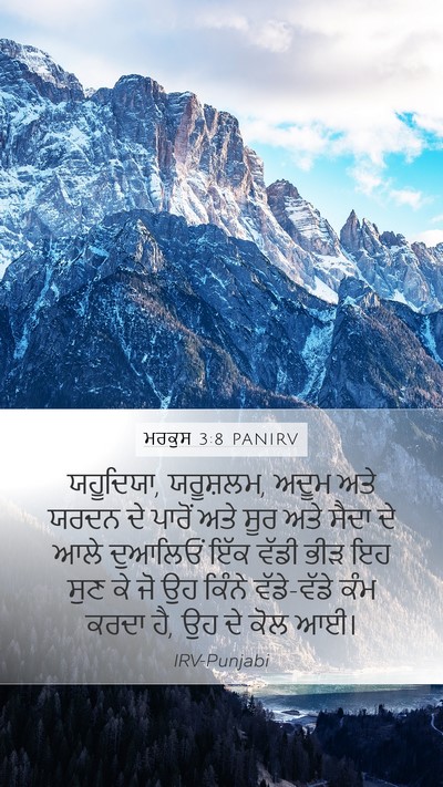 ਮਰਕੁਸ 3:8 PANIRV Bible Verse Image